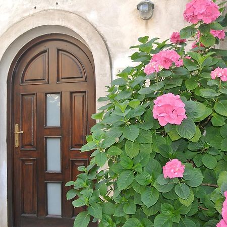 B&B Casa Antonia Trentinara Buitenkant foto