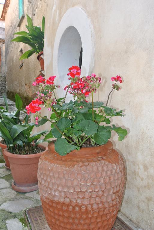 B&B Casa Antonia Trentinara Buitenkant foto