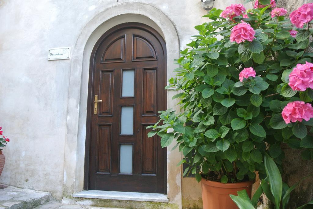 B&B Casa Antonia Trentinara Buitenkant foto